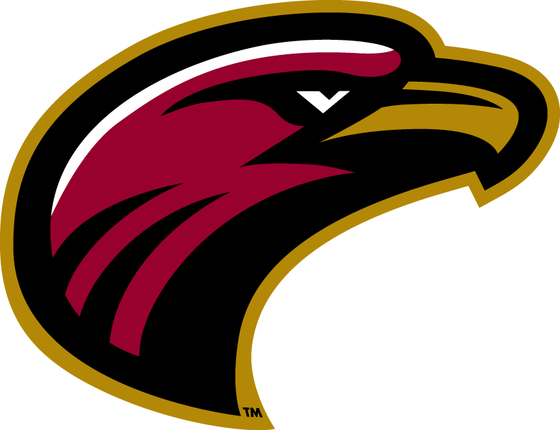 Louisiana-Monroe Warhawks 2006-Pres Alternate Logo v7 diy iron on heat transfer